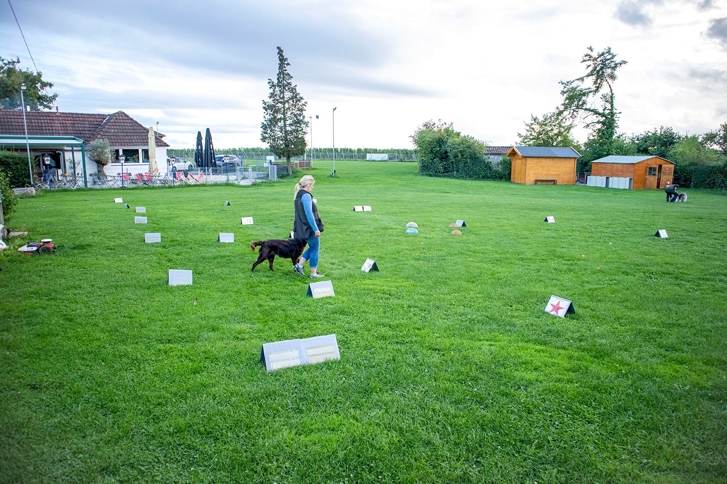 VdH Zuffenhausen Rally Obedience Impression