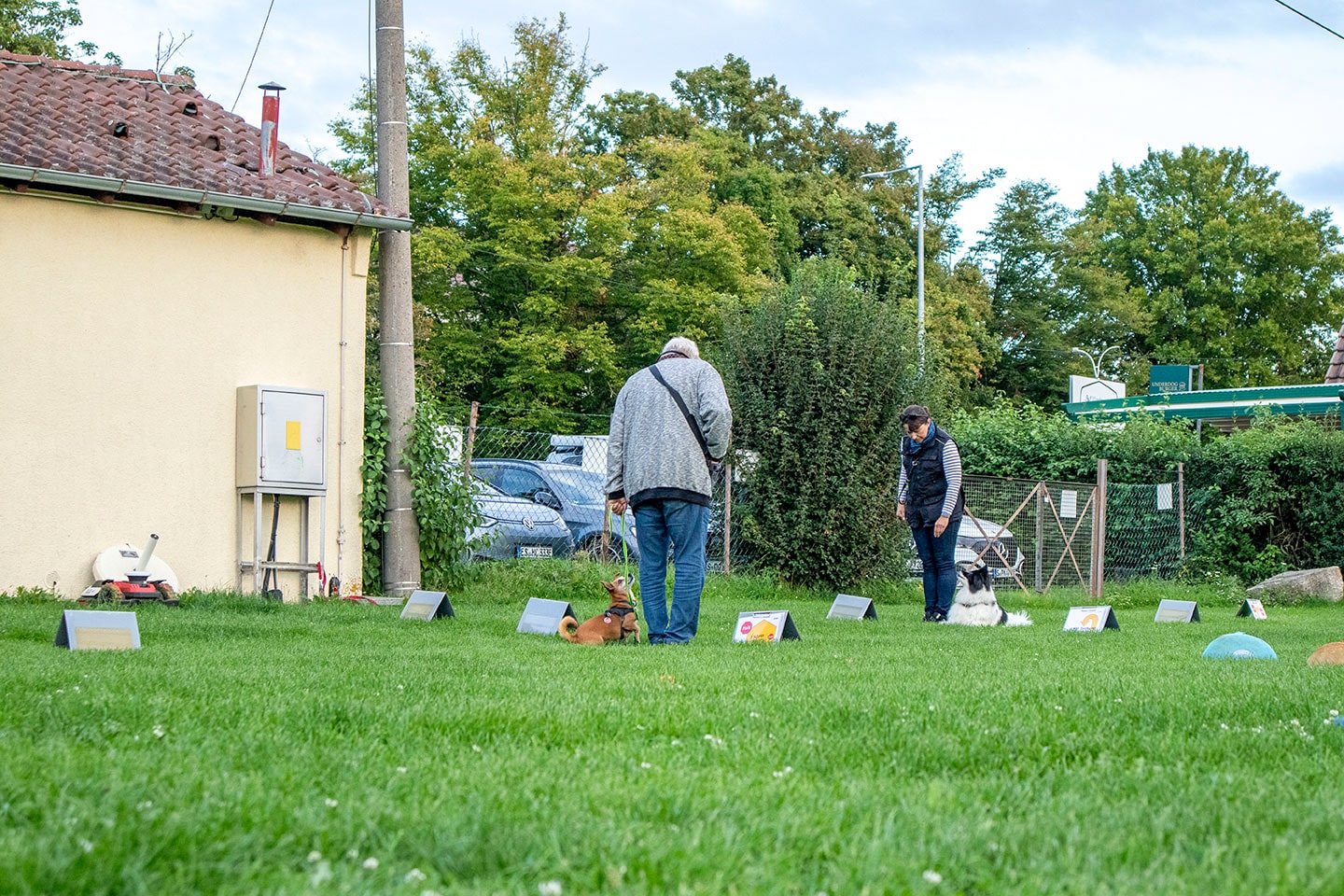 VdH Zuffenhausen Rally Obedience Impression