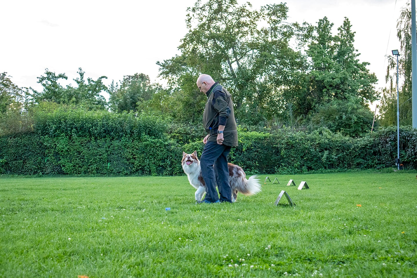 VdH Zuffenhausen Rally Obedience Impression