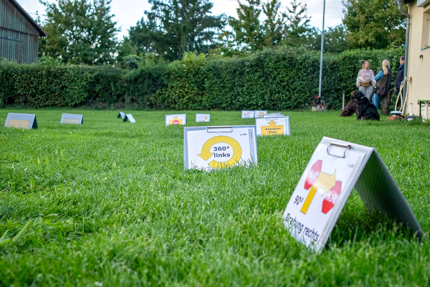 VdH Zuffenhausen Rally Obedience Impression