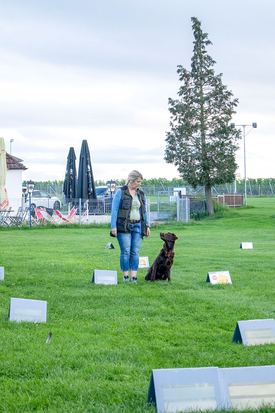 VdH Zuffenhausen Rally Obedience Impression