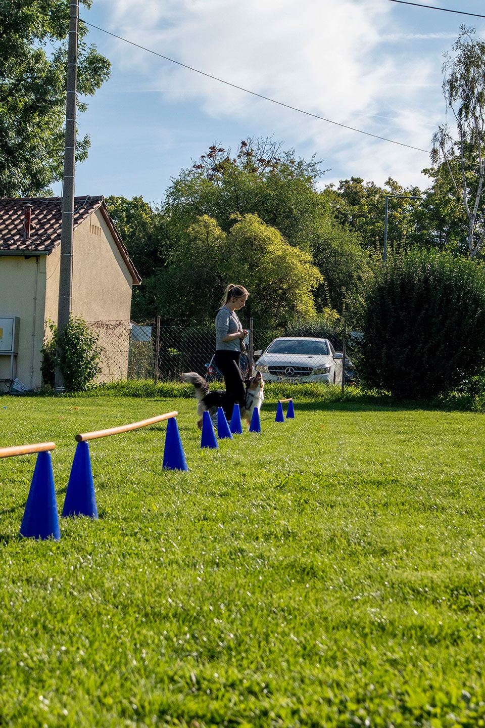 VdH Zuffenhausen THS Turnierhundesport Gruppe Impression