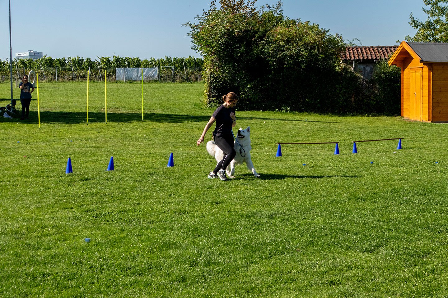 VdH Zuffenhausen THS Turnierhundesport Gruppe Impression