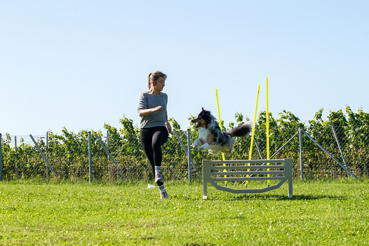 VdH Zuffenhausen THS Turnierhundesport Gruppe Impression