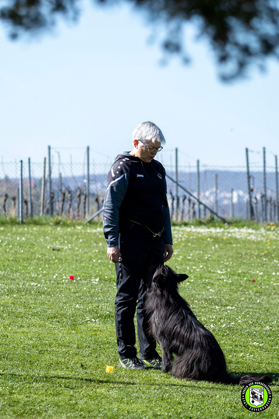 VdH Zuffenhausen THS Turnierhundesport Gruppe Impression
