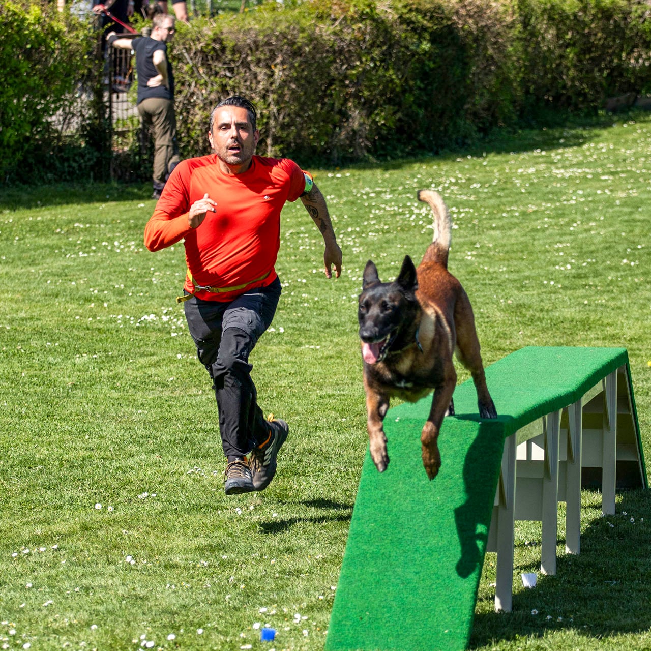 Foto von Turnierhundesport (THS)