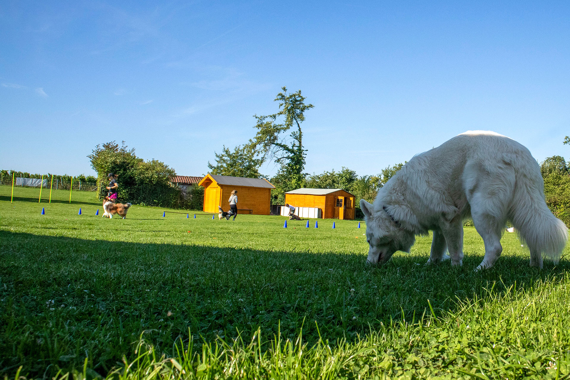 VdH Zuffenhausen Verein Impression