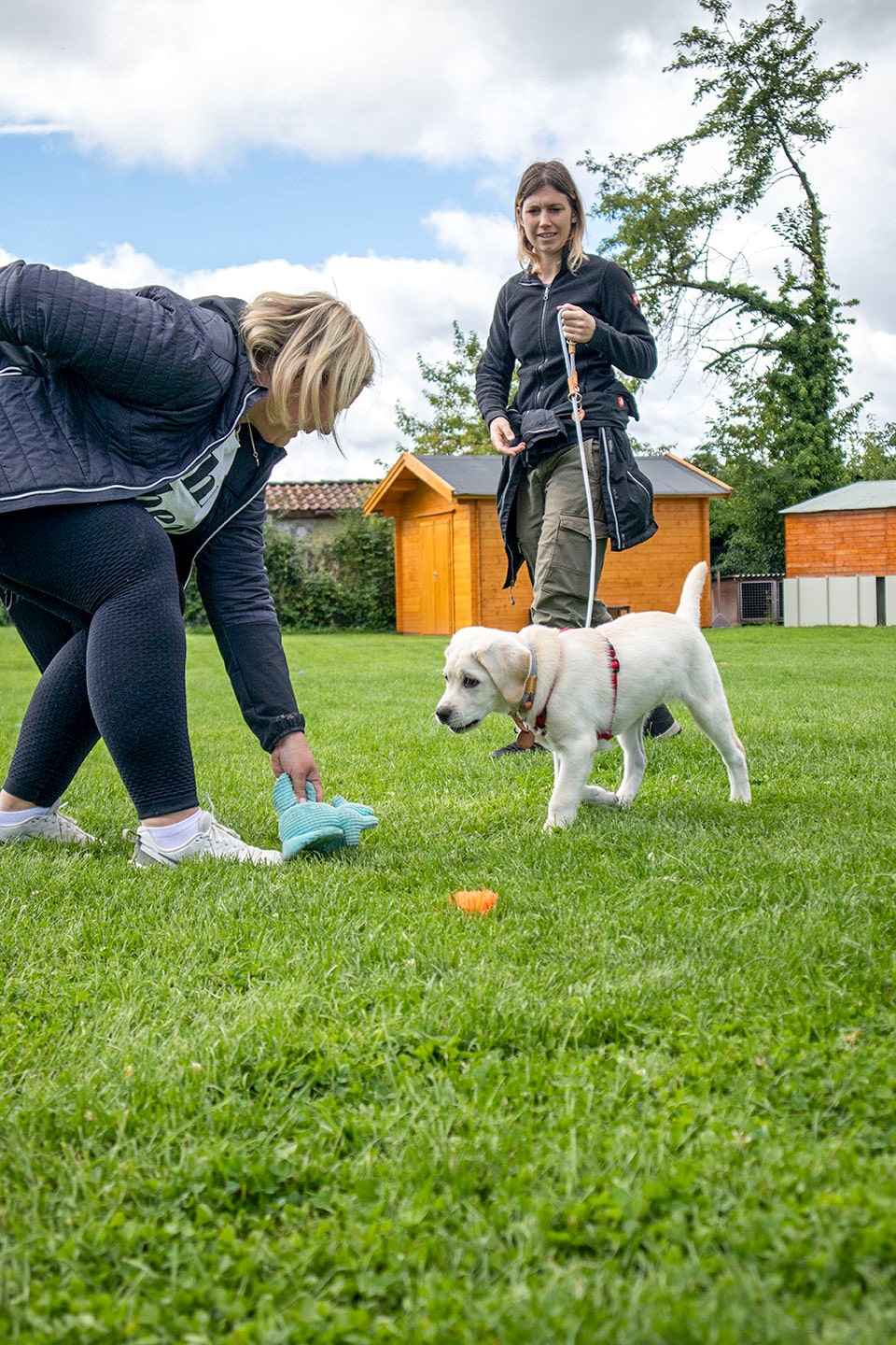 VdH Zuffenhausen Welpenschule Impression