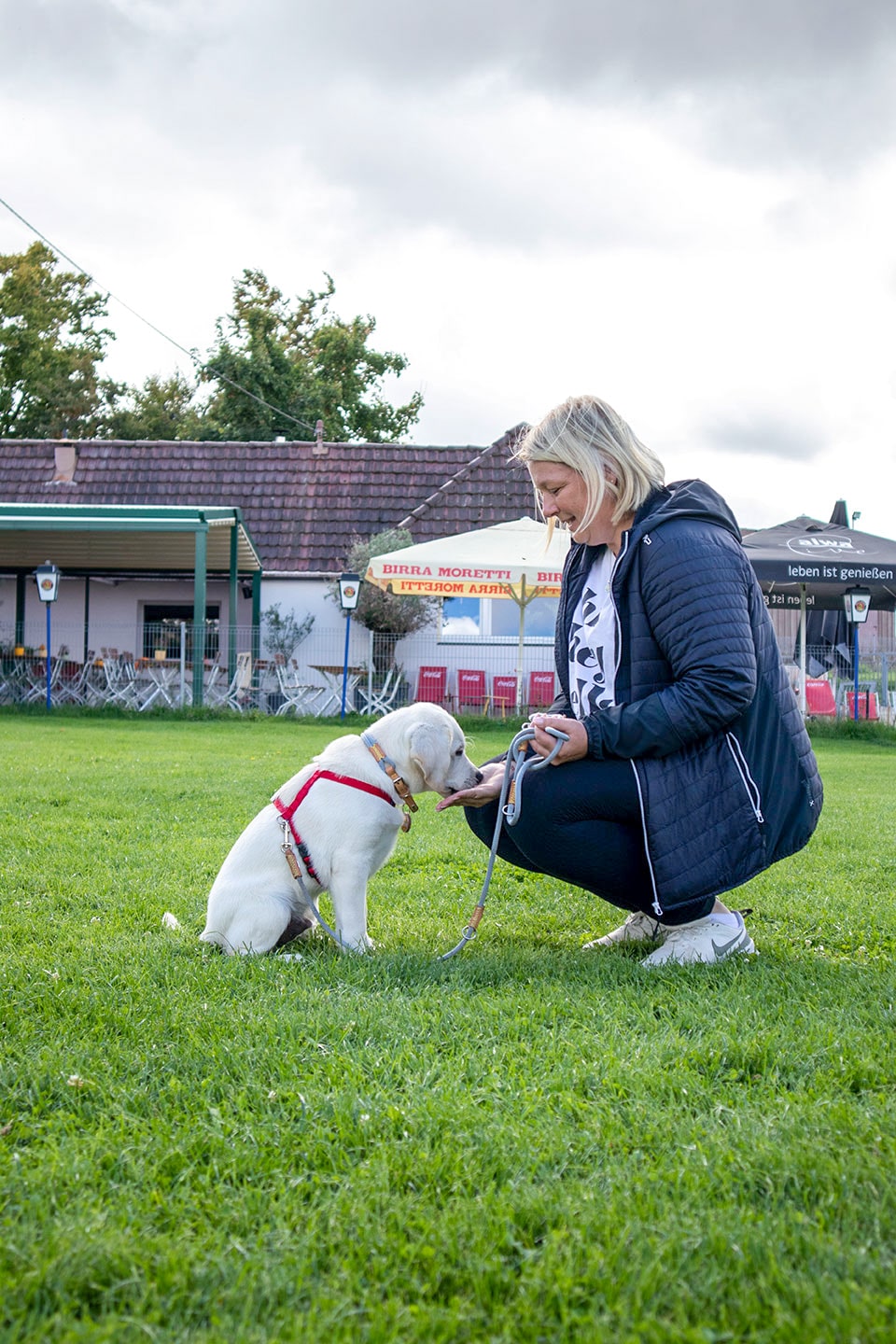 VdH Zuffenhausen Welpenschule Impression