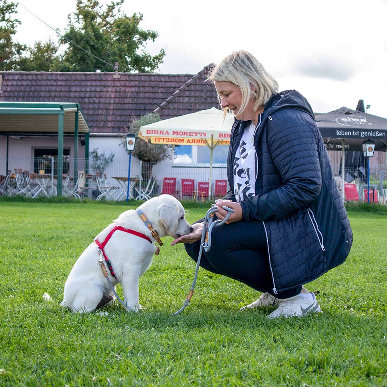 Foto von Welpenschule